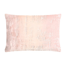 Load image into Gallery viewer, Brushstroke Blush Velvet Pillow