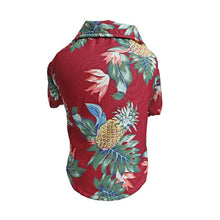 Load image into Gallery viewer, Dog Shirts For Summer and Beach In All Sizes